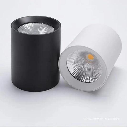 Surface Mounted Cylindrical COB Down Light