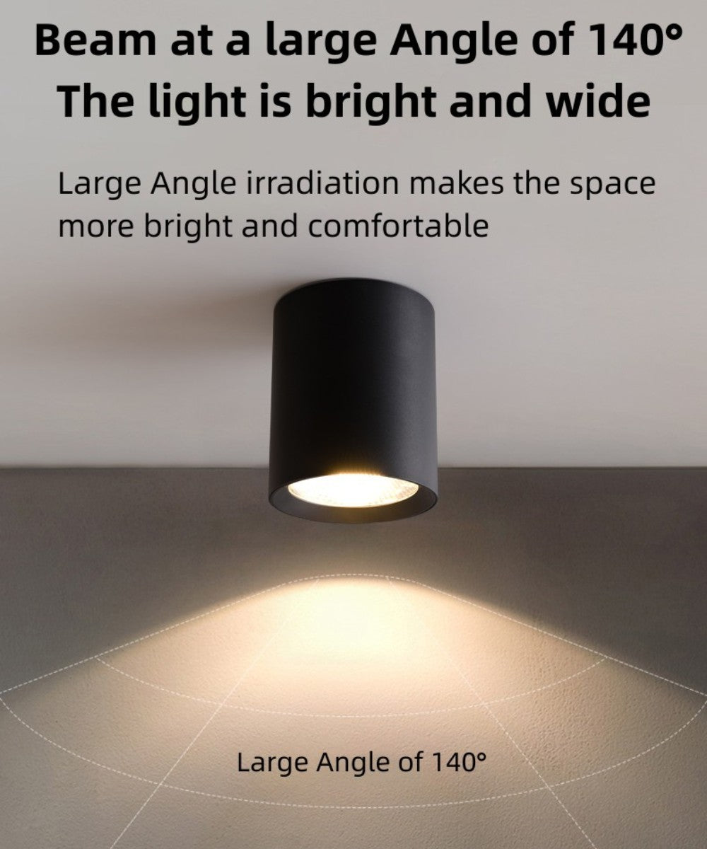 Surface Mounted Cylindrical COB Down Light